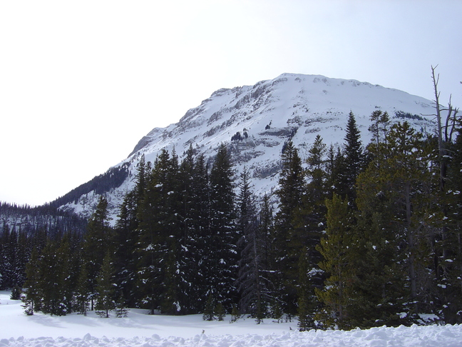 DSC05023